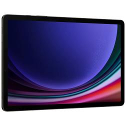 Galaxy Tab S9 5G 12GB/256GB, серый