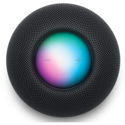 Apple HomePod mini, Серый космос