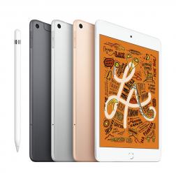 iPad mini 5 WiFi 256GB Gold  (2019)